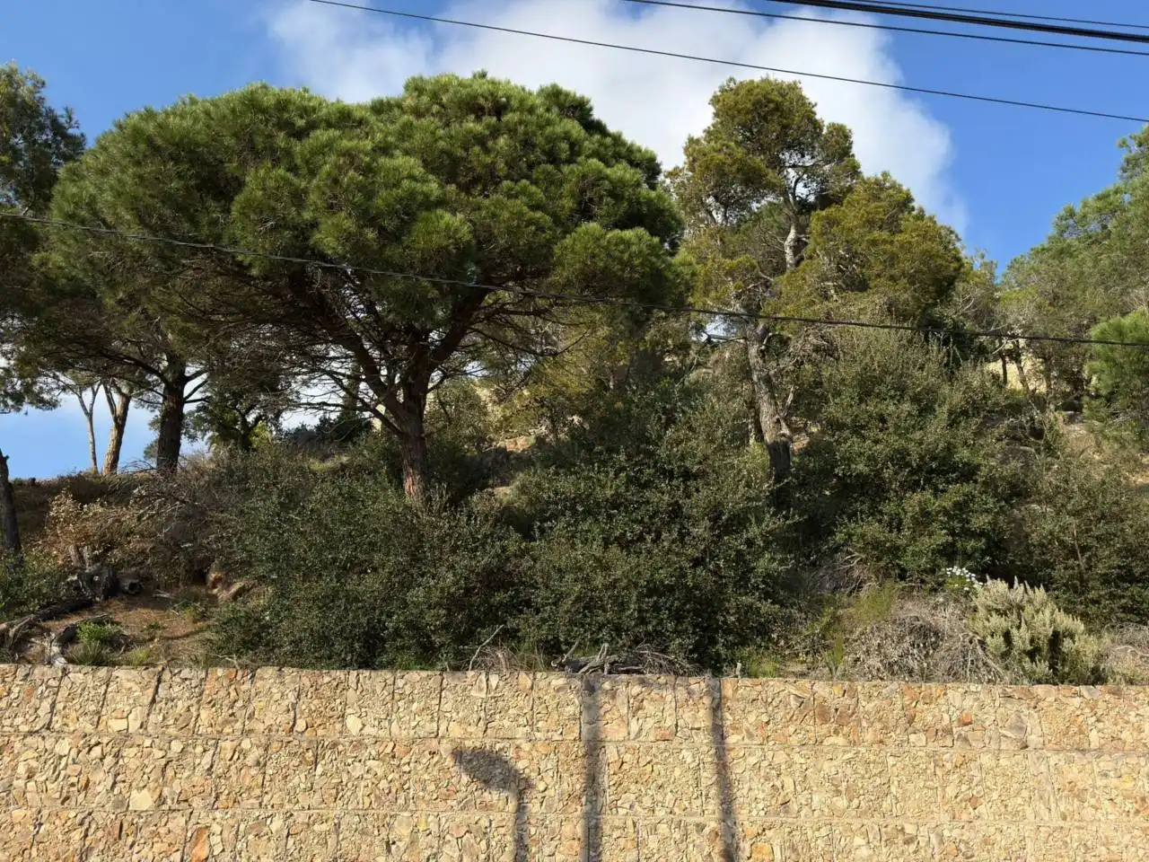 Terreno residencial en venta en Calle Font dels Capellans 40, imagen 4