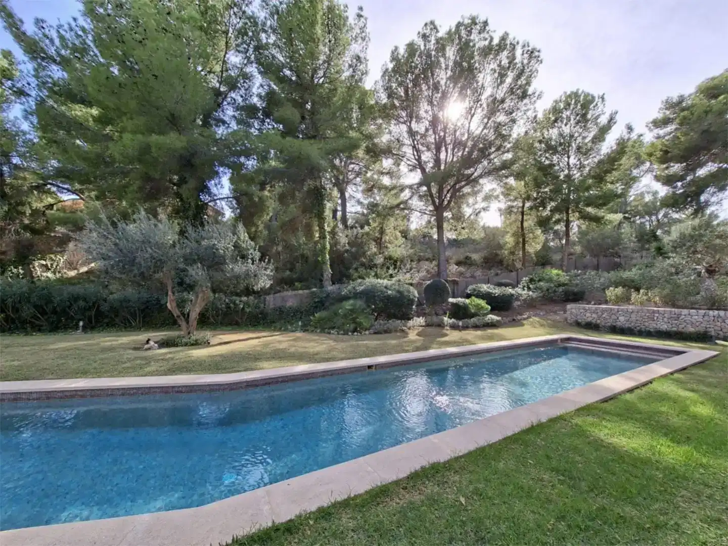 Piscina de Piso en venta en Andratx con Aire acondicionado, Jardín privado y Piscina
