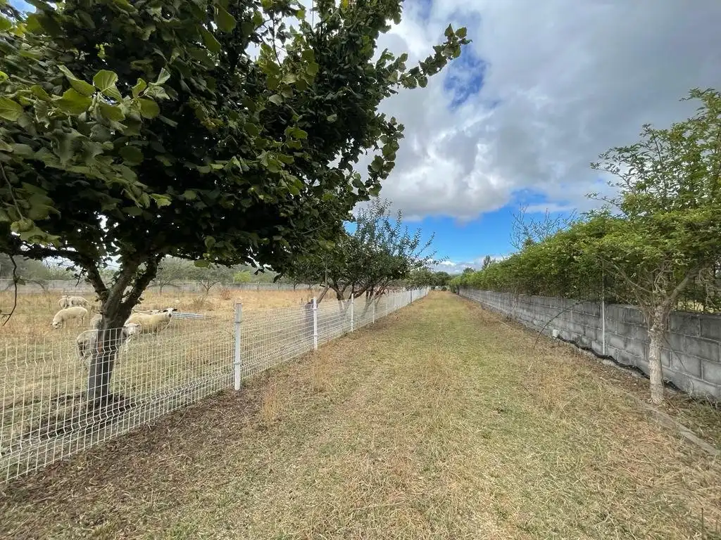 Residencial en venta en Carracedelo
