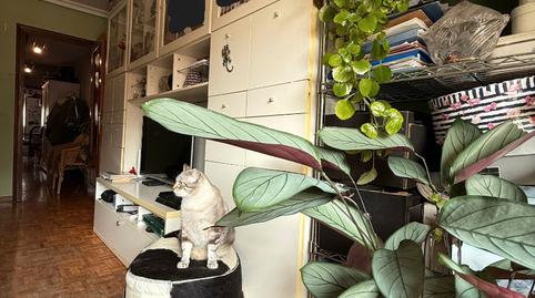 Foto 5 de Dúplex en venda a Calle Ricardo Montes, Ciudad Naranco - Prados de La Fuente, Asturias