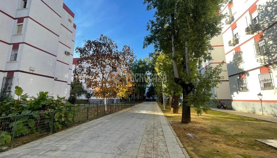 Photo 1 of Flat for sale in Pino Montano - Consolación, Sevilla