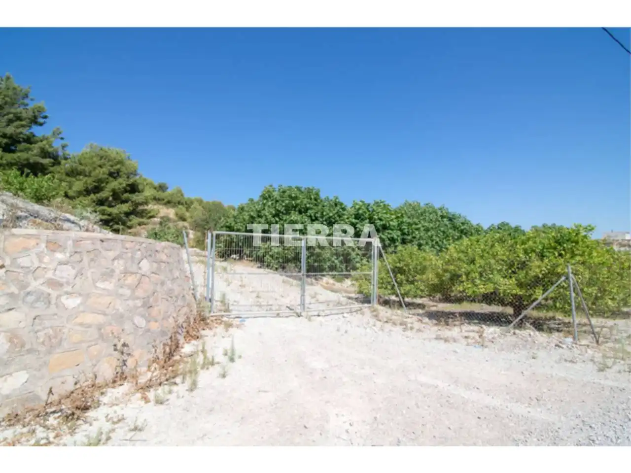 Lands and plots for sale in Poligono El Semolilla, imagen 5