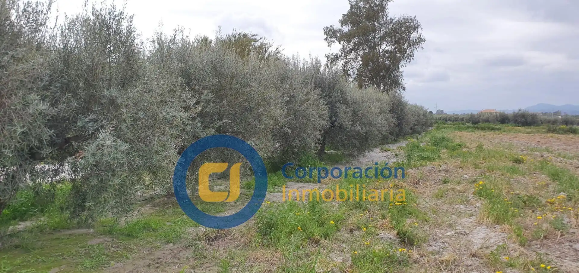 Casa o chalet en venta en Lorca con Amueblado