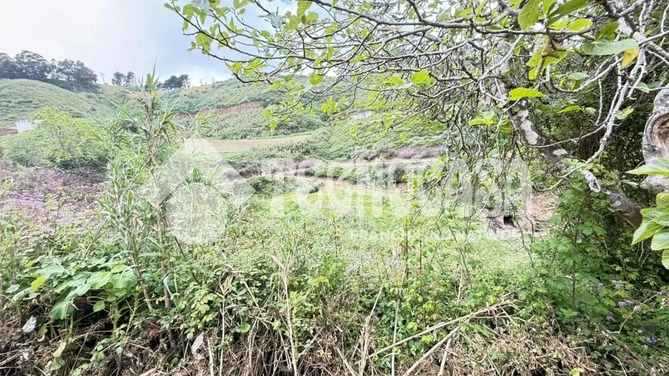 Terreno en venta en Moya (Las Palmas)