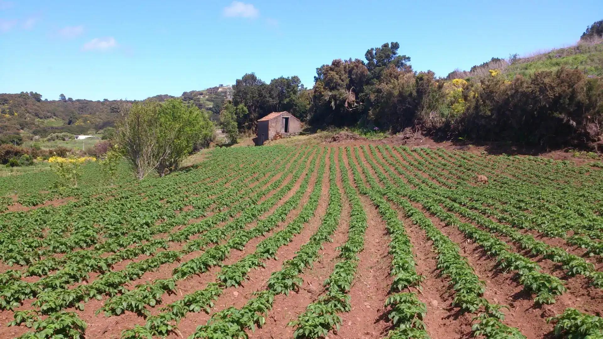 Finca rústica en venta en Garafía, Santa Cruz de Tenerife