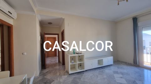 Photo 3 of Flat for sale in Mairena del Alcor, Sevilla