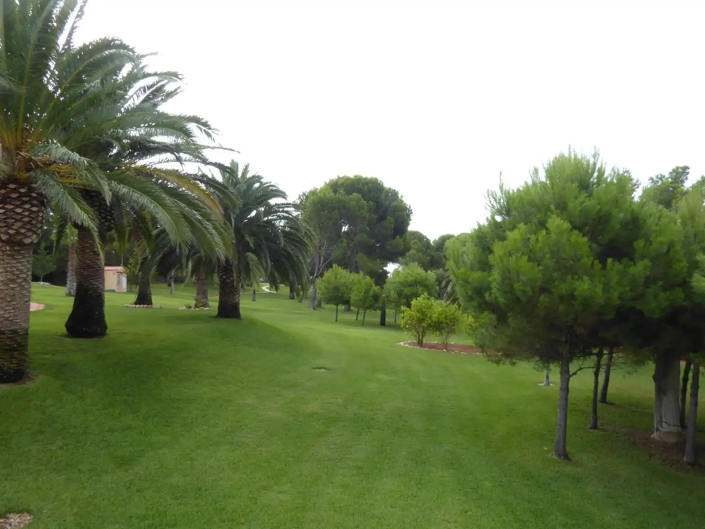 Jardí de Casa o xalet en venda en Alcalà de Xivert amb Calefacció, Jardí privat i Piscina