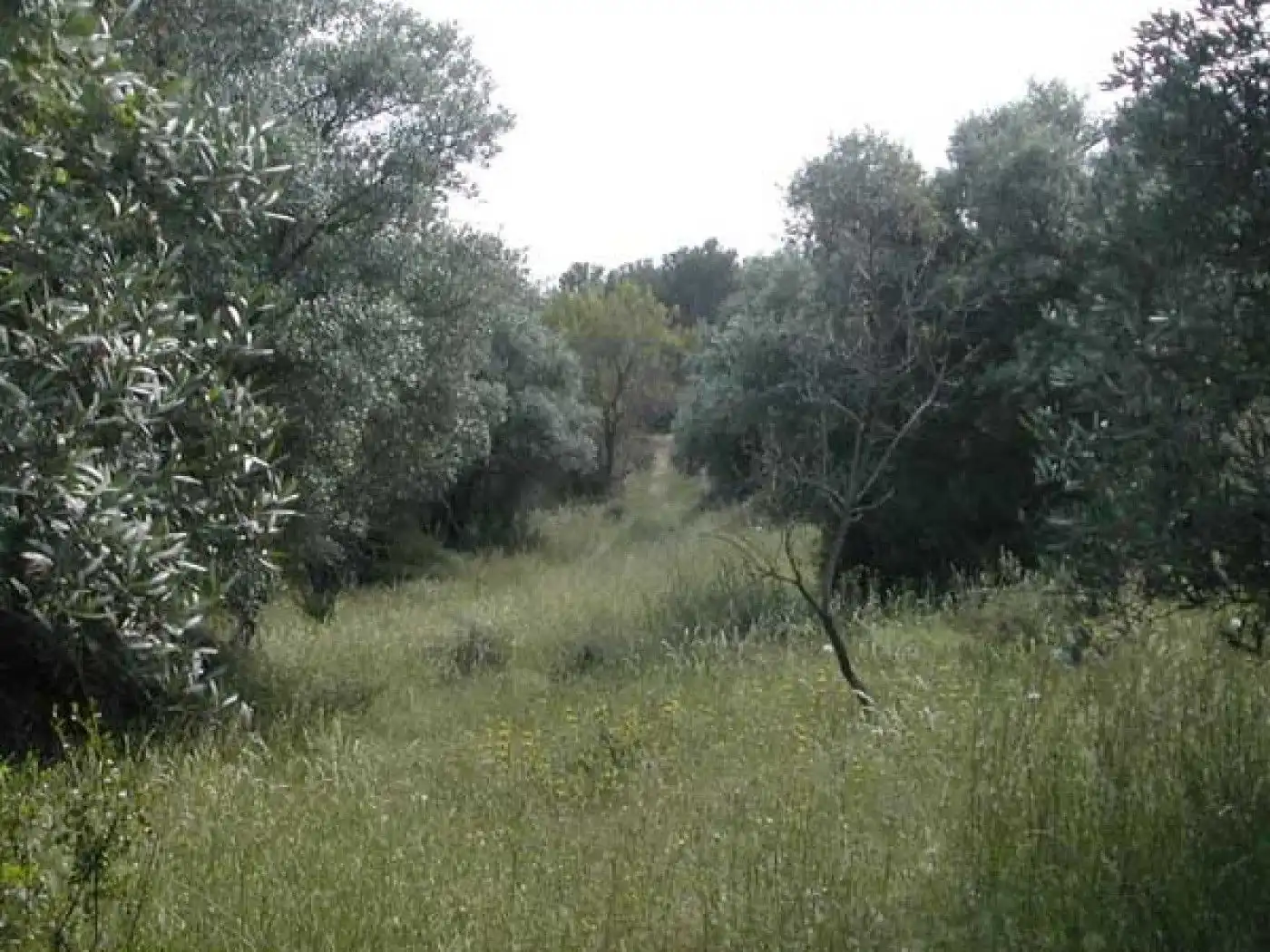 Terreni e lotti in vendita a Cretas, imagen 3