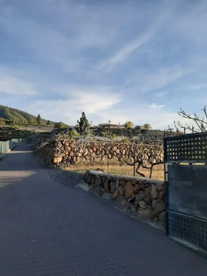 Finca rústica en venda en Granadilla de Abona amb Jardí privat i Terrassa