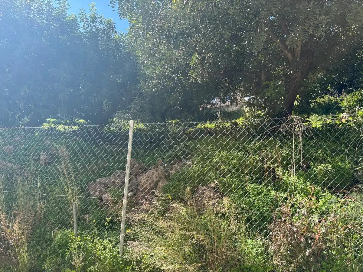 Terrenys i solars en venda a La Pedrera - Vessanes, imagen 7