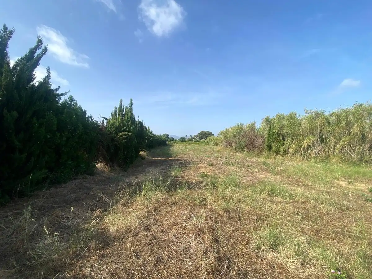 Lands and plots for sale in Els Poblets, imagen 7