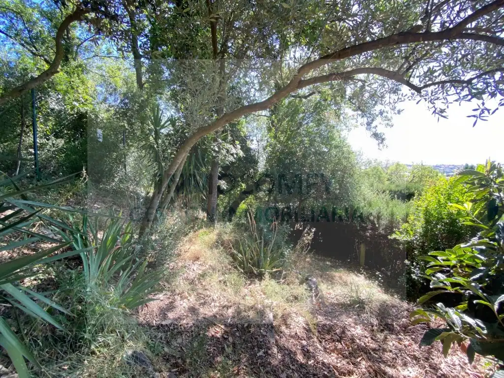 Grundstücke zum Verkauf in Cruïlles, Monells I Sant Sadurní de L'Heura