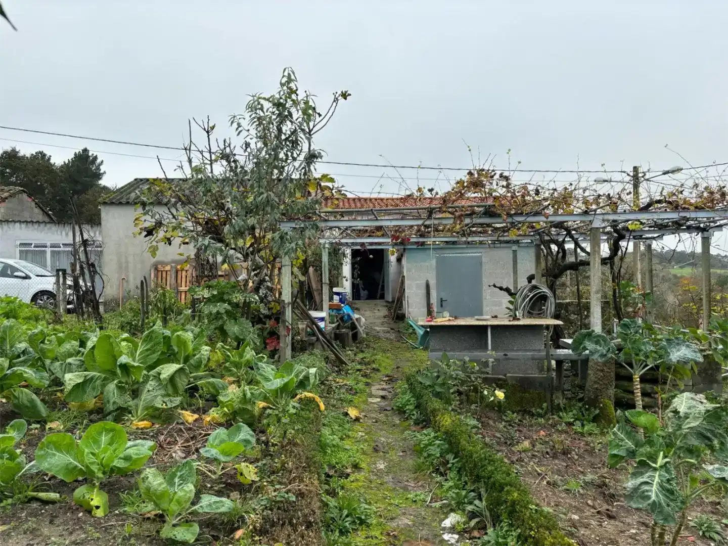 Finca rústica en venta en Celanova con Jardín privado