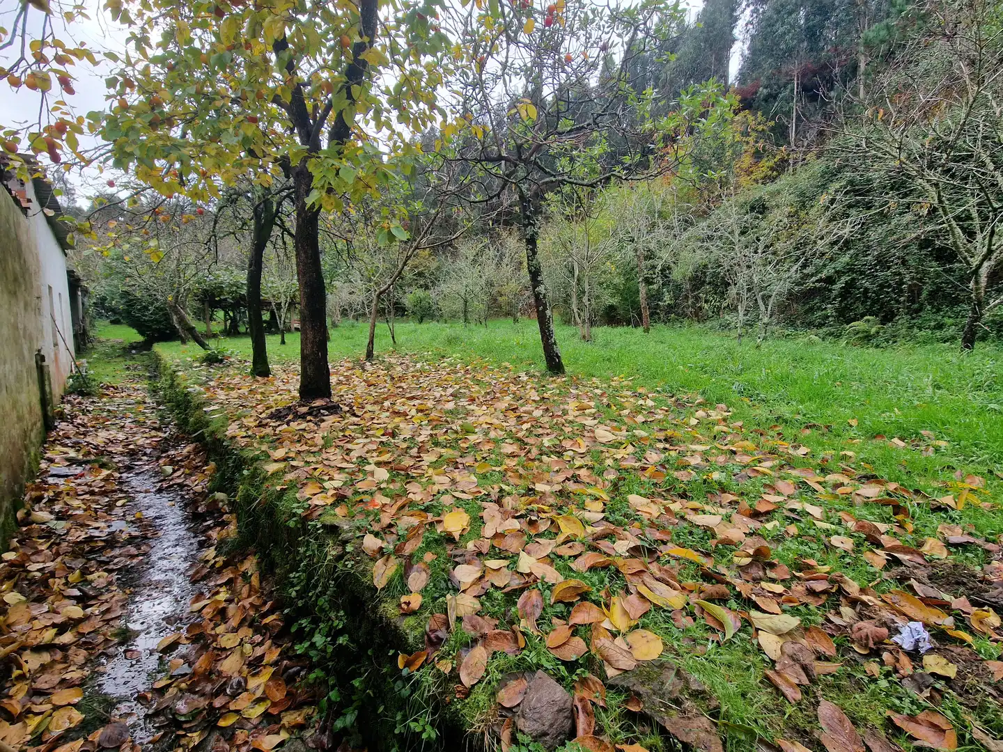 Maison avec jardin à vendre à Valdoviño, imagen 2