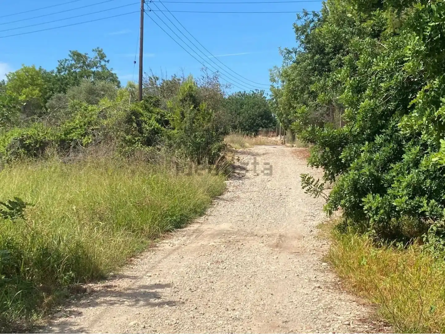 Rural land for sale in Extrarradio Diseminado 1, imagen 4