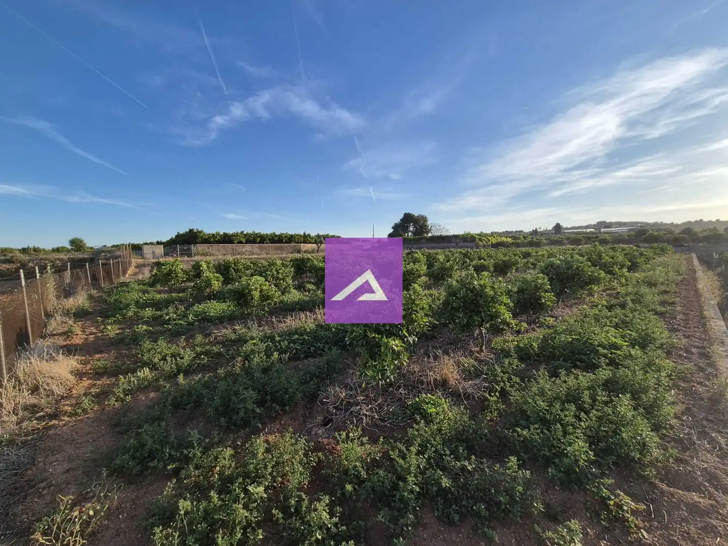 Land for sale in Picassent