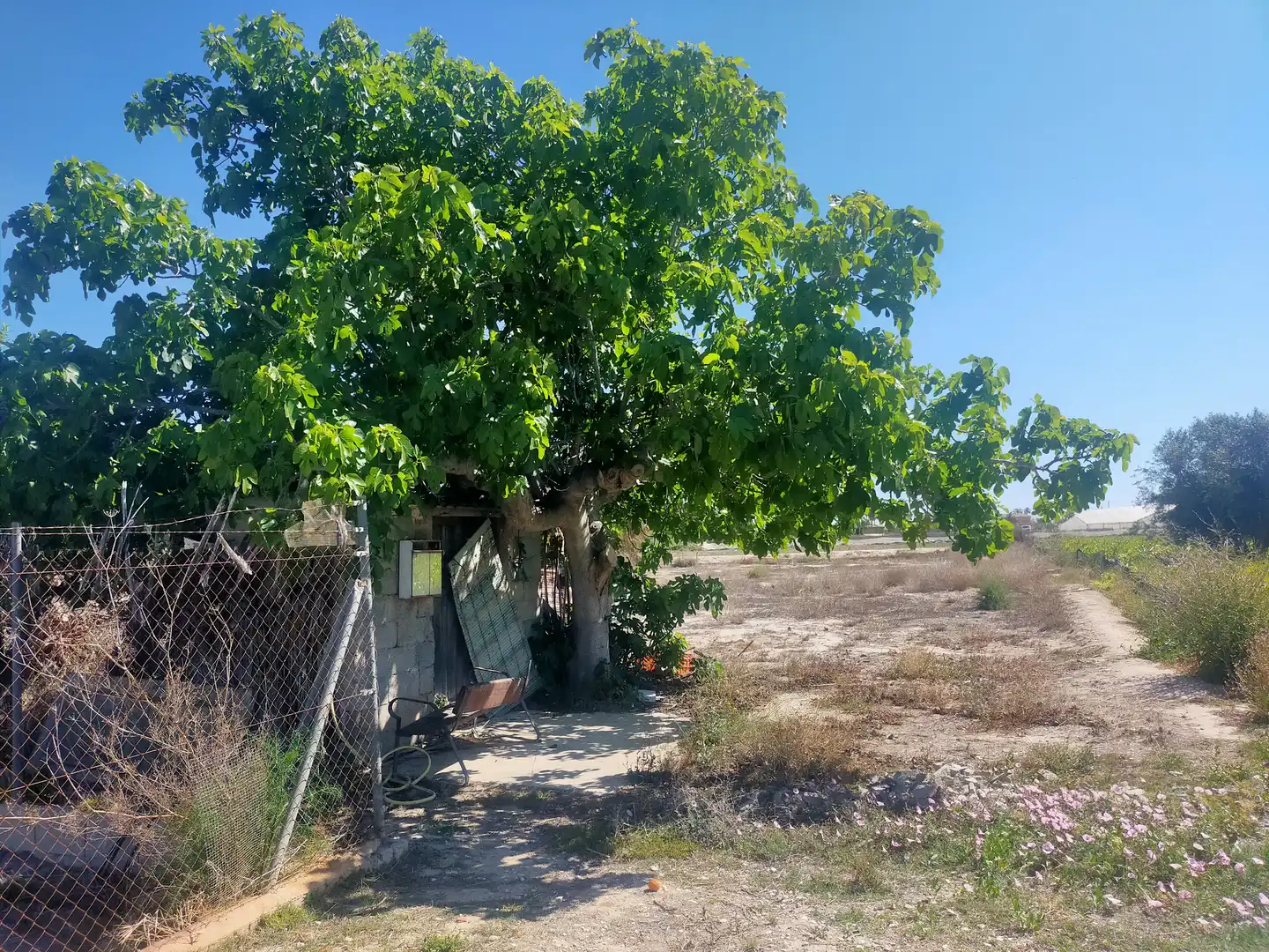 Terrain rustique à vendre à La Foia - Daimés - Asprella, imagen 8