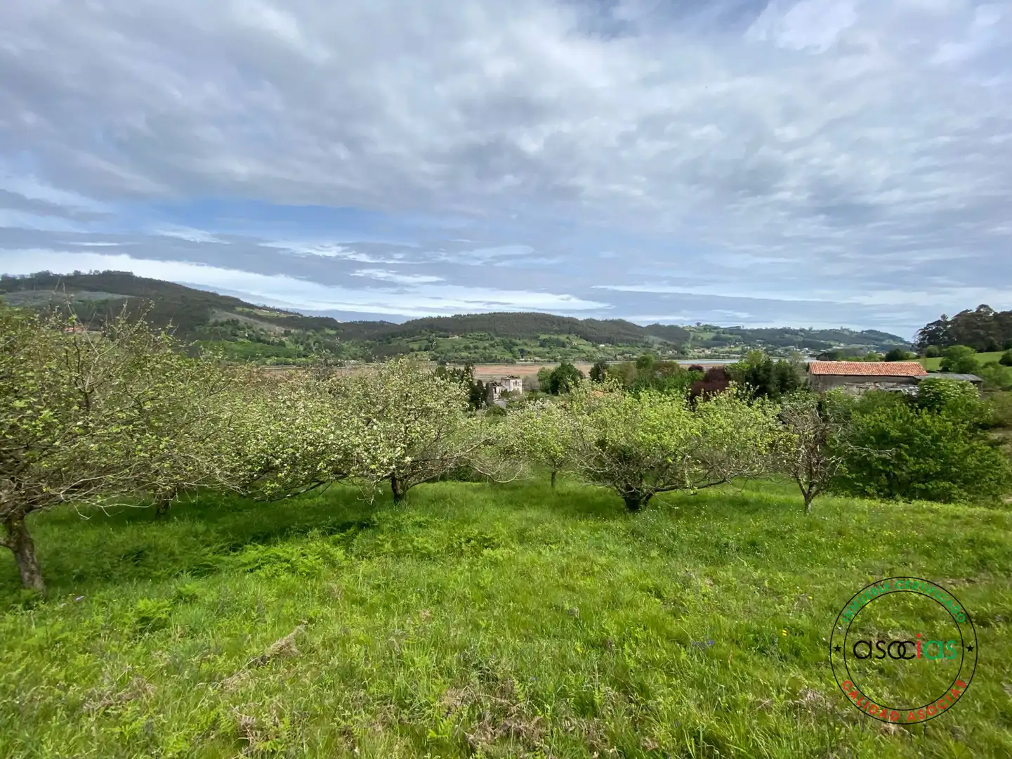 Terreno rustico in vendita a Villaviciosa - AL MUSLERA, imagen 9