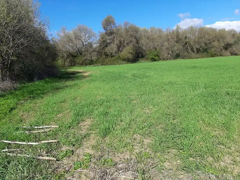 Terreno rustico in vendita a Jimena de la Frontera, imagen 3