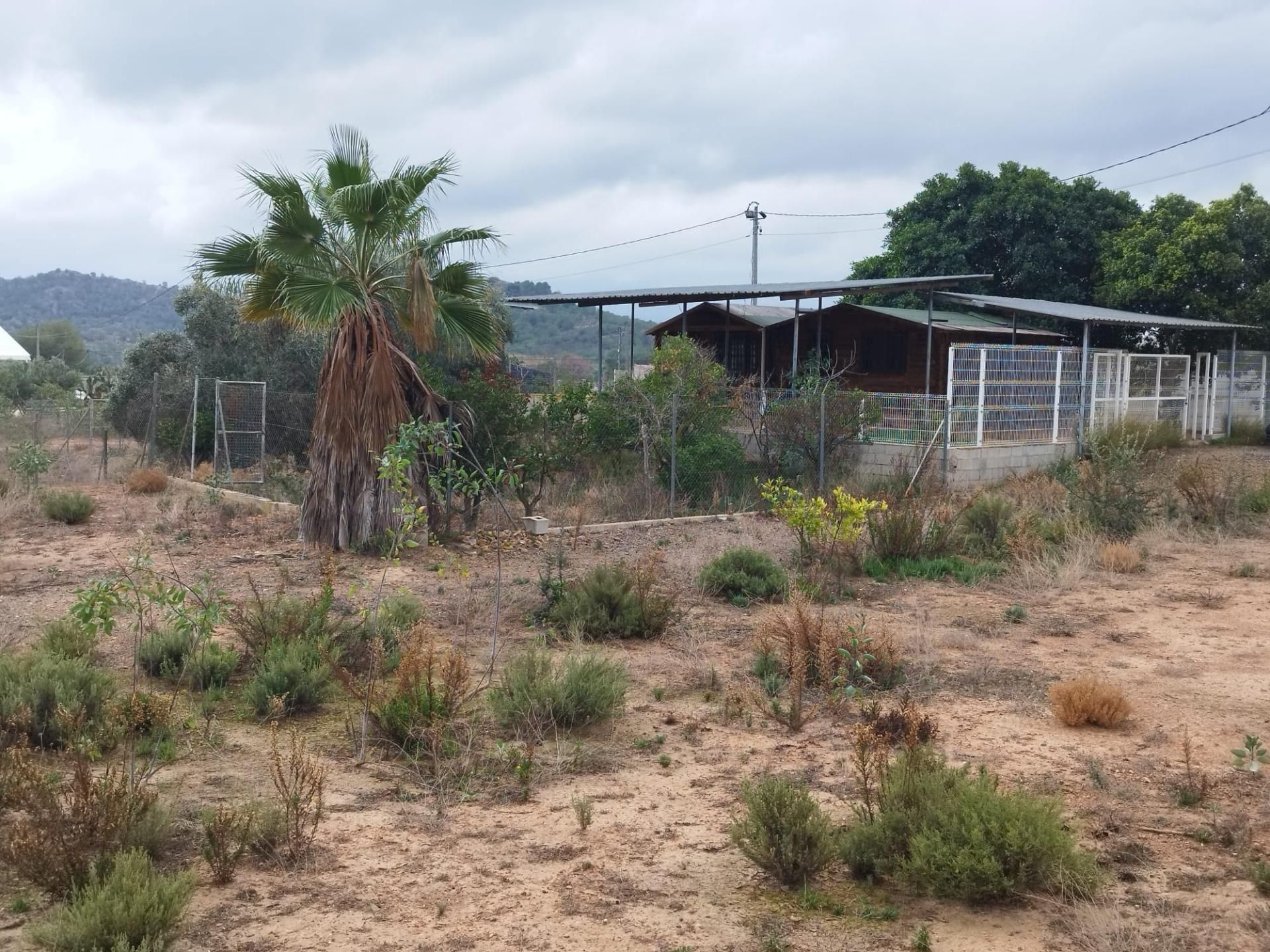 Terreno en venta en  Murcia Capital