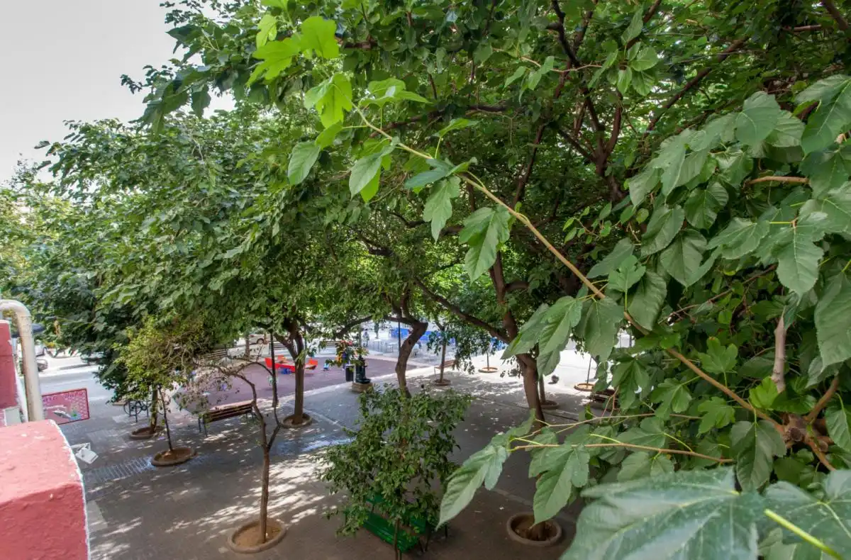 Habitació a L'Amistat
