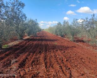 Terreny en venda en Almendralejo