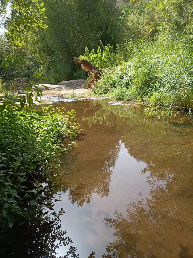 Vista exterior de Finca rústica en venda en Castellar del Vallès amb Terrassa, Traster i Balcó