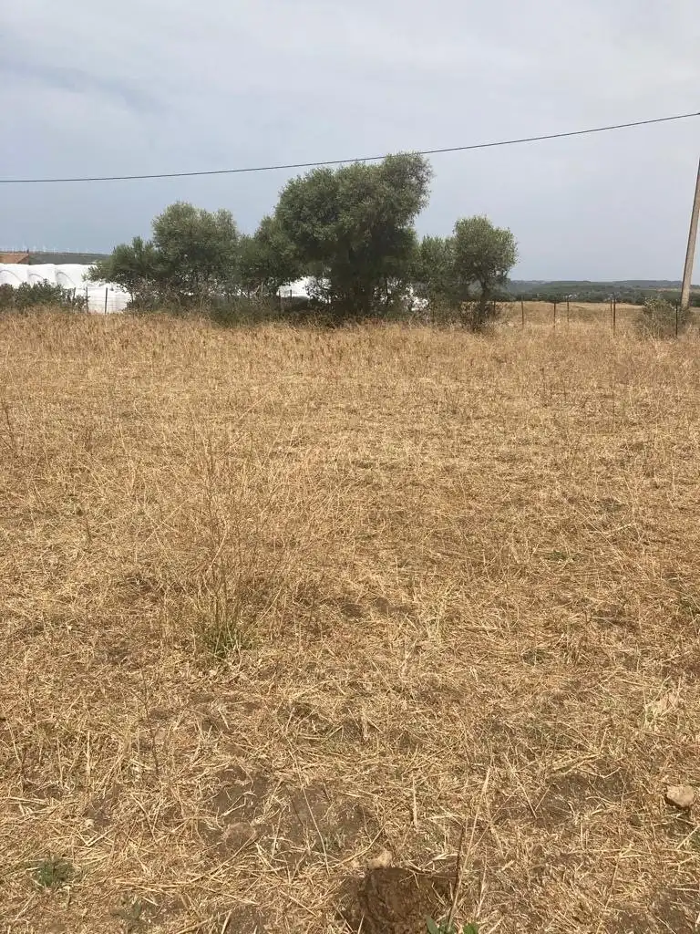Casa rústica en venda a Barbate ciudad, imagen 8
