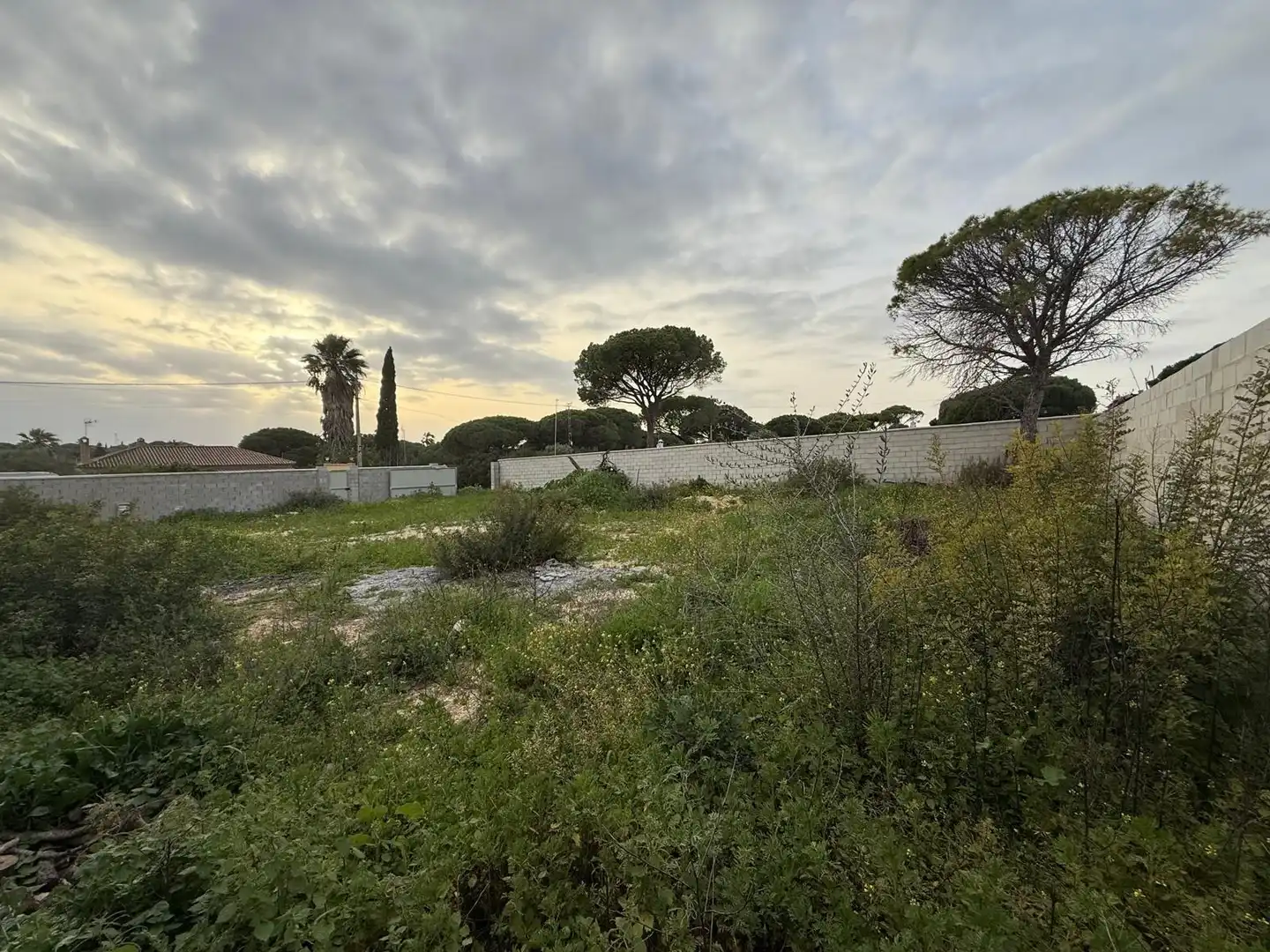 Rustikales Grundstück zum Verkauf in Las Lagunas - Campano, imagen 5