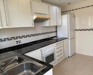 Kitchen of Flat to rent in Manacor  with Private garden, Terrace and Oven
