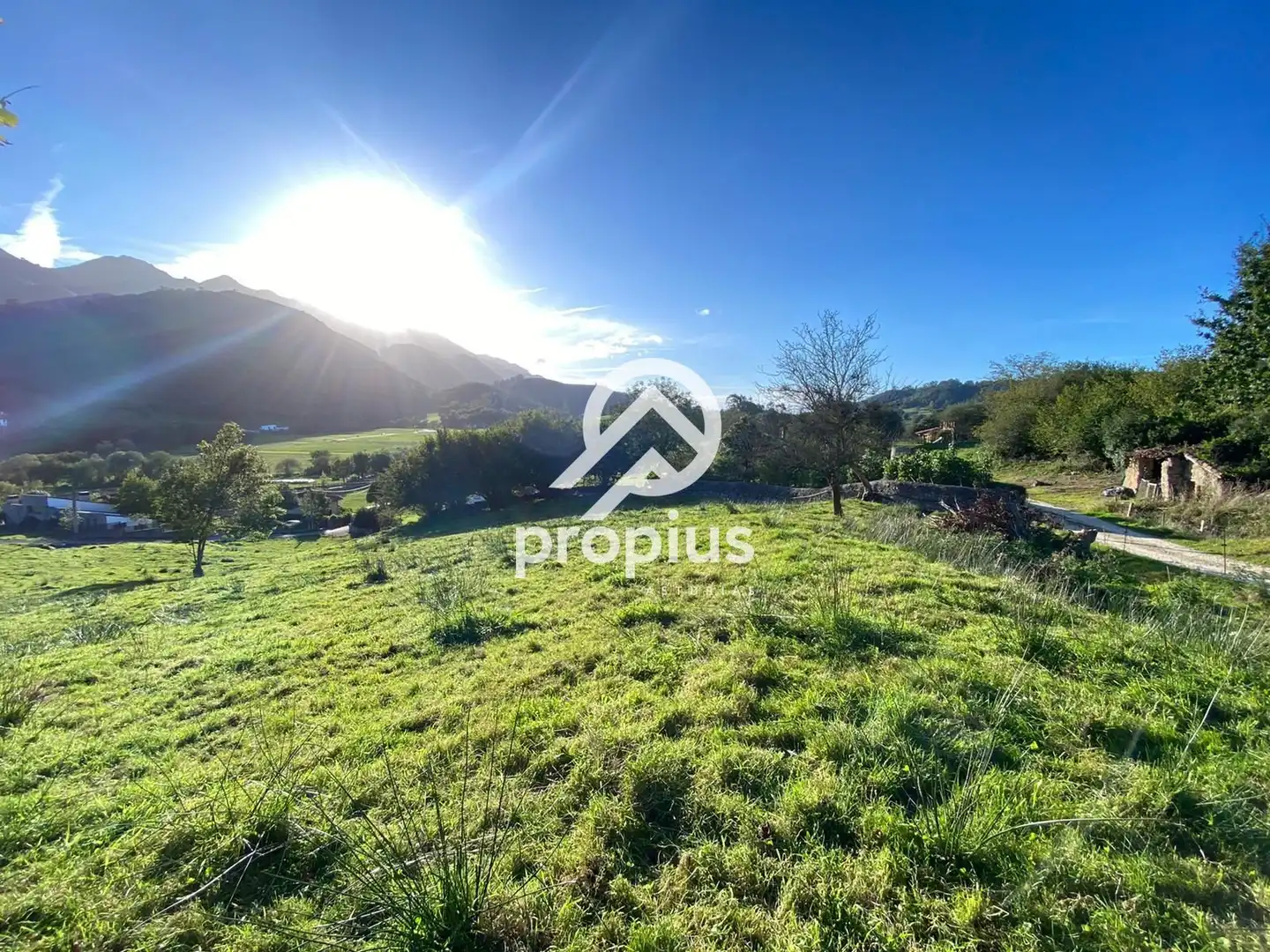 Terreno residencial en venta en LA BORBOLLA, imagen 7