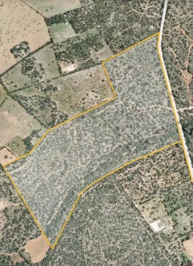 Terreno rustico in vendita a Cala Pi - Vallgornera, imagen 3