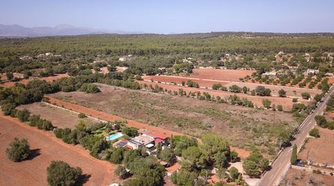 Terreno en venta de 22.000 m2 en Algaida, immagine 4