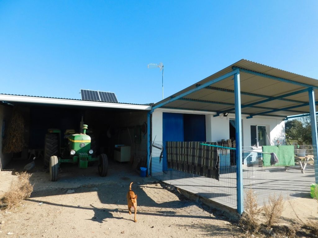 Vista exterior de Casa o xalet en venda en La Haba  amb Jardí privat i Traster