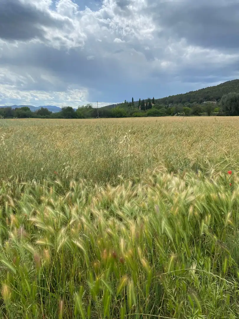 Finca rústica en venda en Maià de Montcal amb Aire condicionat, Calefacció i Jardí privat
