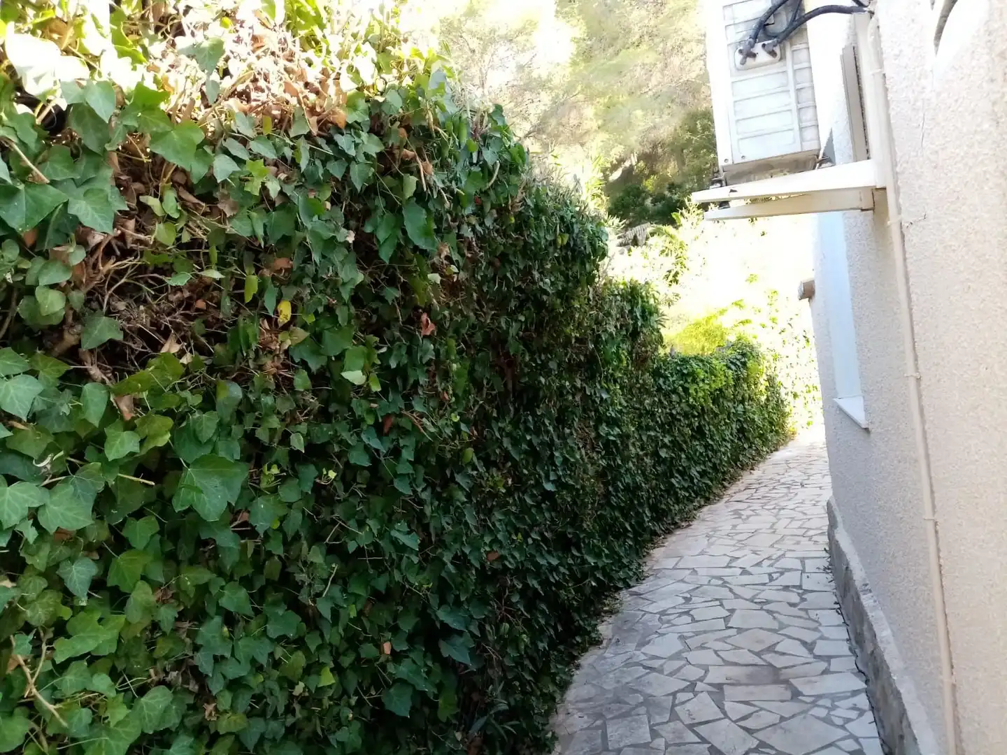 Garden of Houses for sale in Dénia  with Private garden, Furnished and Community pool