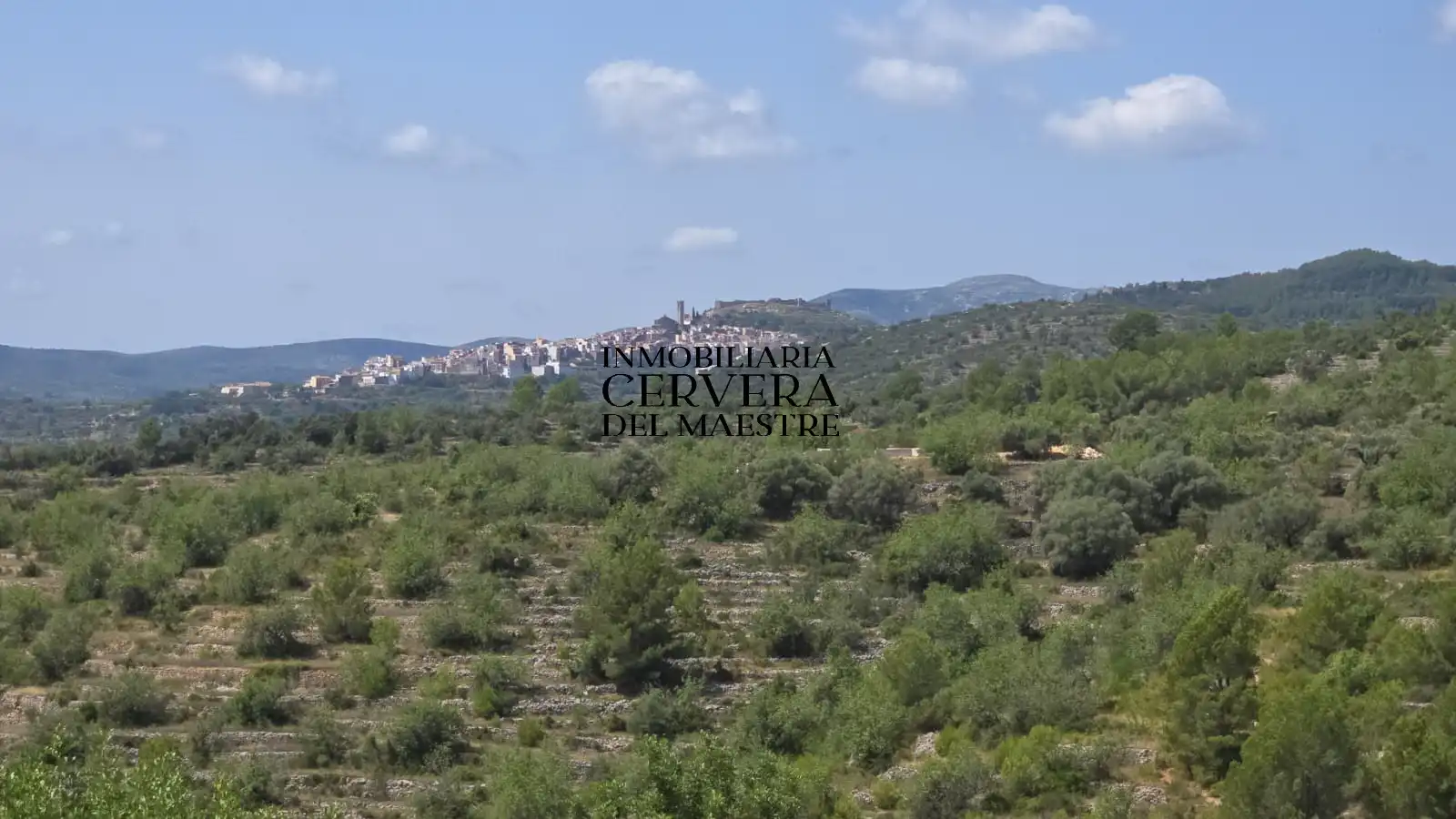 Rural land for sale in Cervera del Maestre, imagen 25