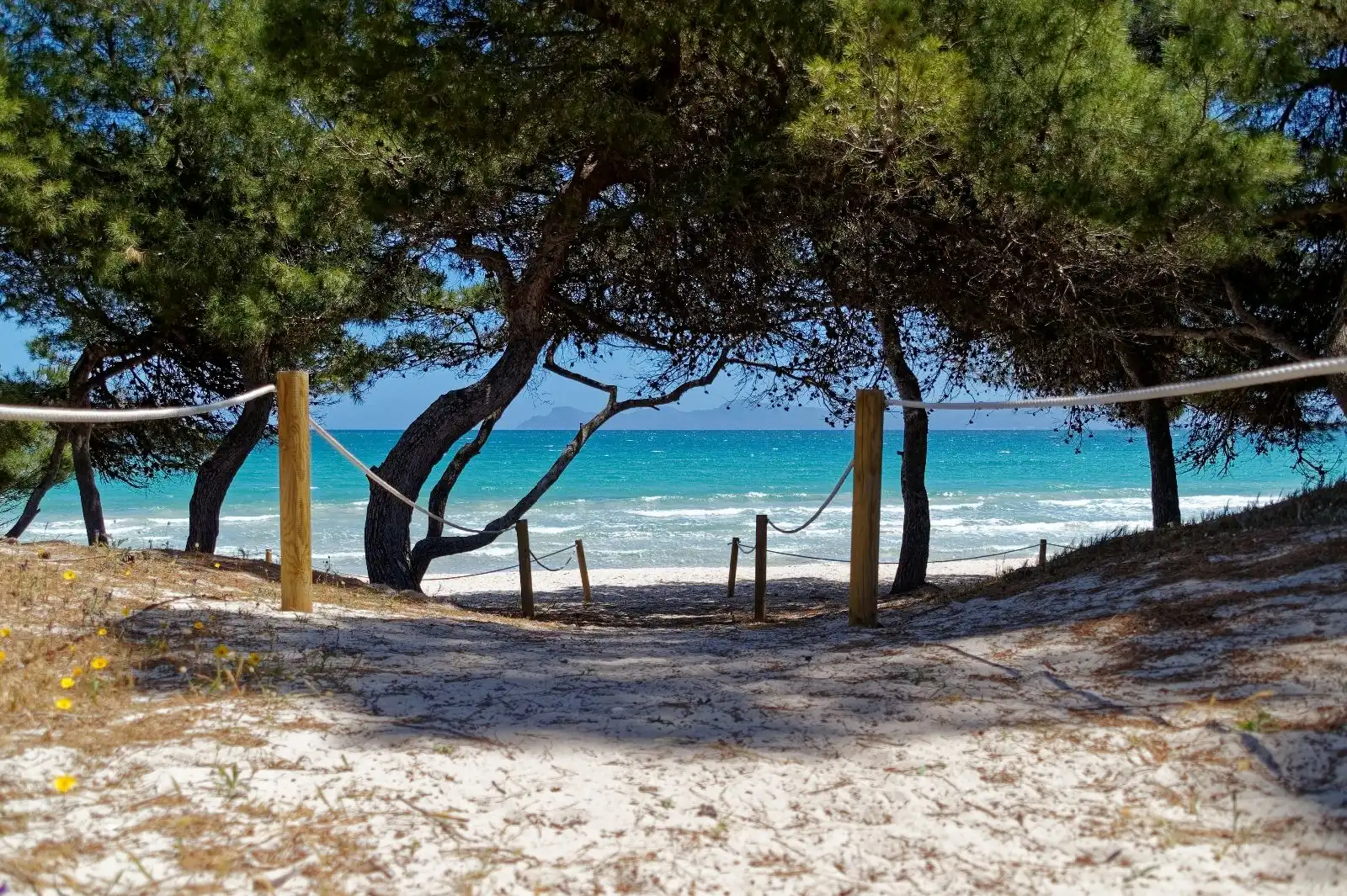 Exterior view of Houses for sale in Alcúdia  with Heating, Private garden and Terrace