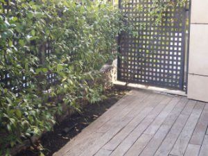 Terrassa de Estudi en venda en  Madrid Capital amb Aire condicionat, Calefacció i Terrassa