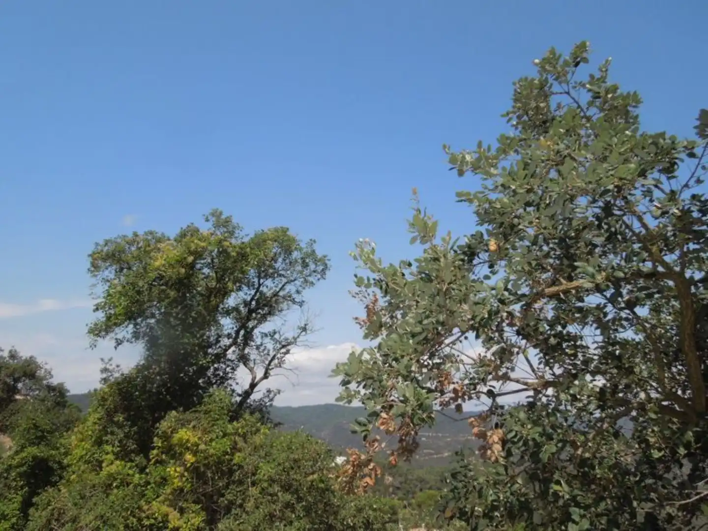 Residencial en venta en El Molí - El Rieral