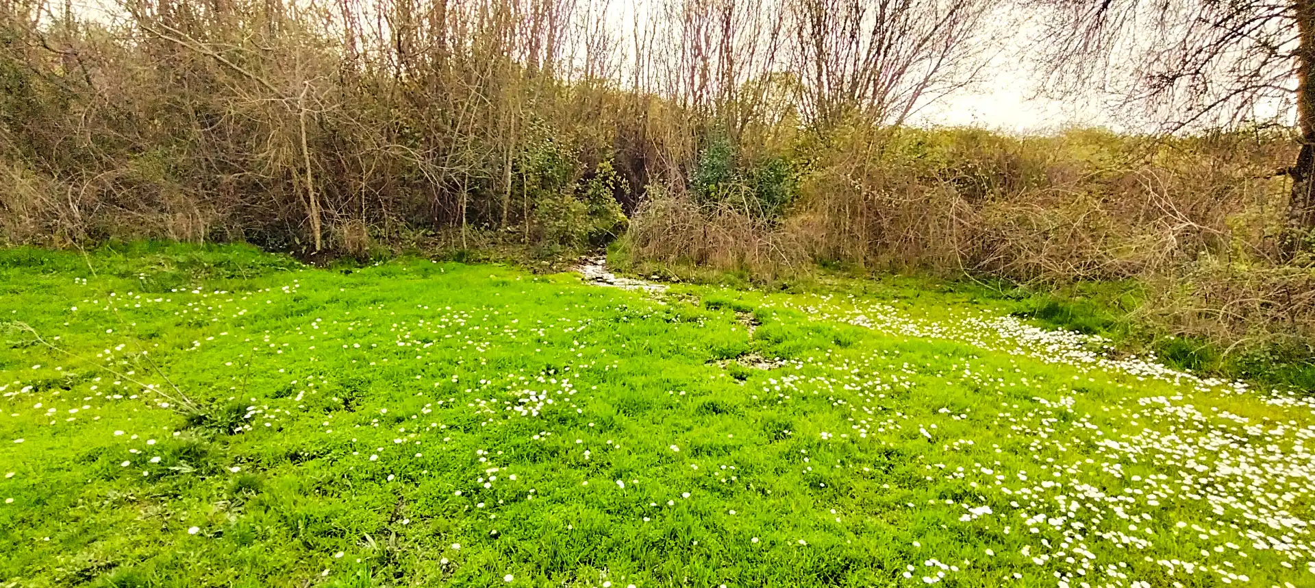 Terreno en venta en Collado de la Vera