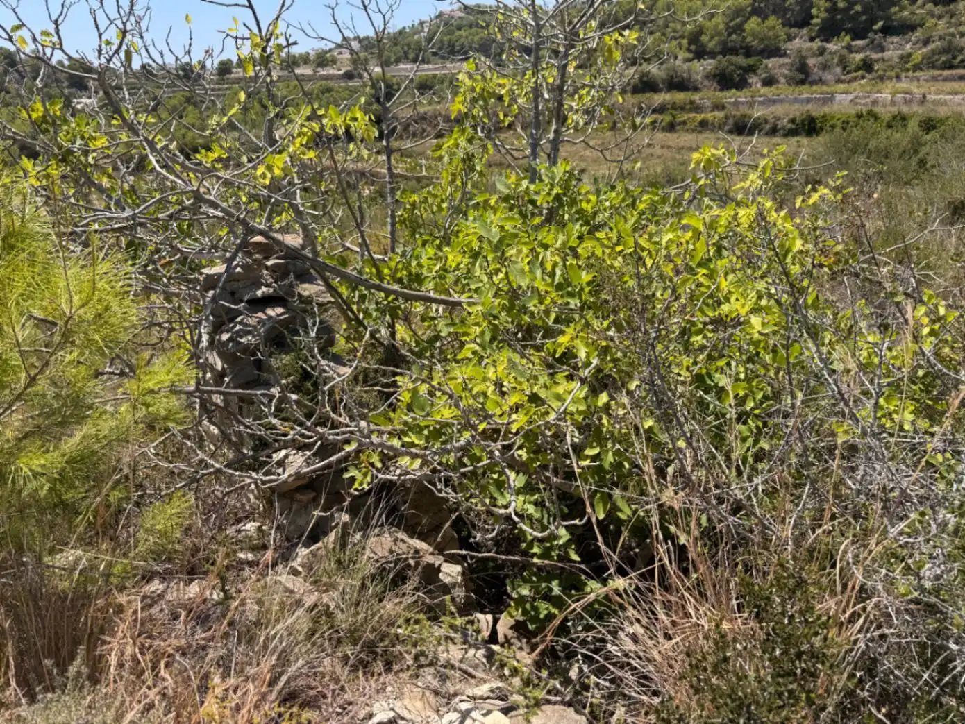 Terreny residencial en venda a Teulada, imagen 16