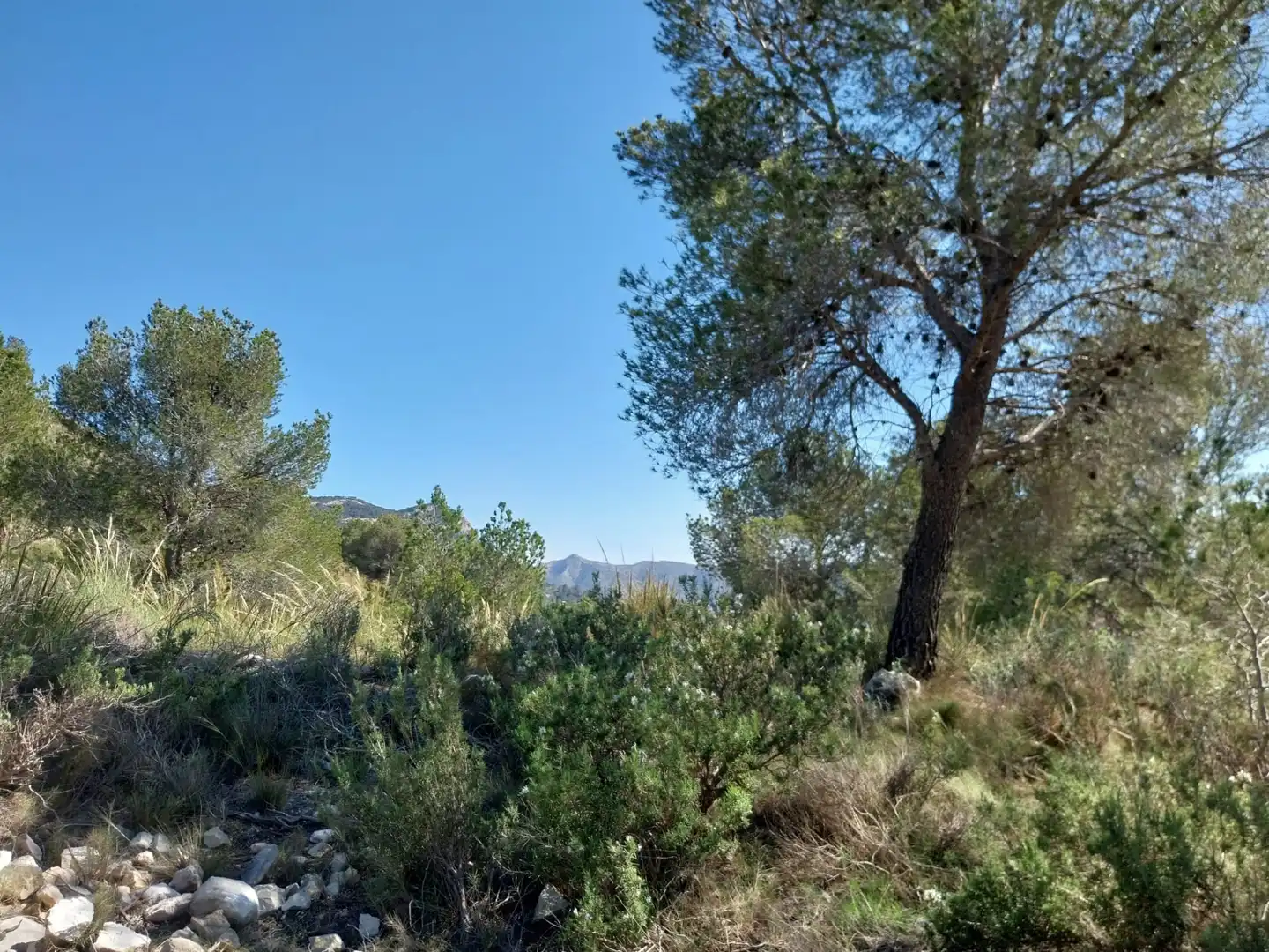 Terreno rustico in vendita a Lugar Castillo, imagen 26