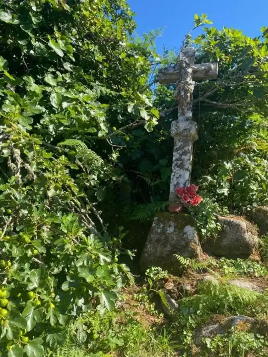 Casa o xalet en venda a Nogueira de Ramuín