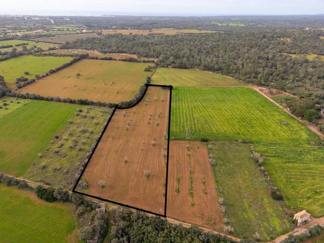 Terreno en Venta en Zona Rústica - Interior