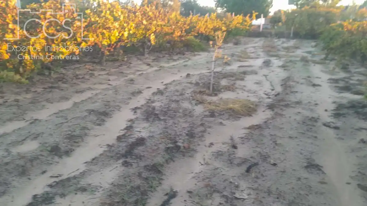 Terreno rustico in vendita a Almonte ciudad, imagen 12