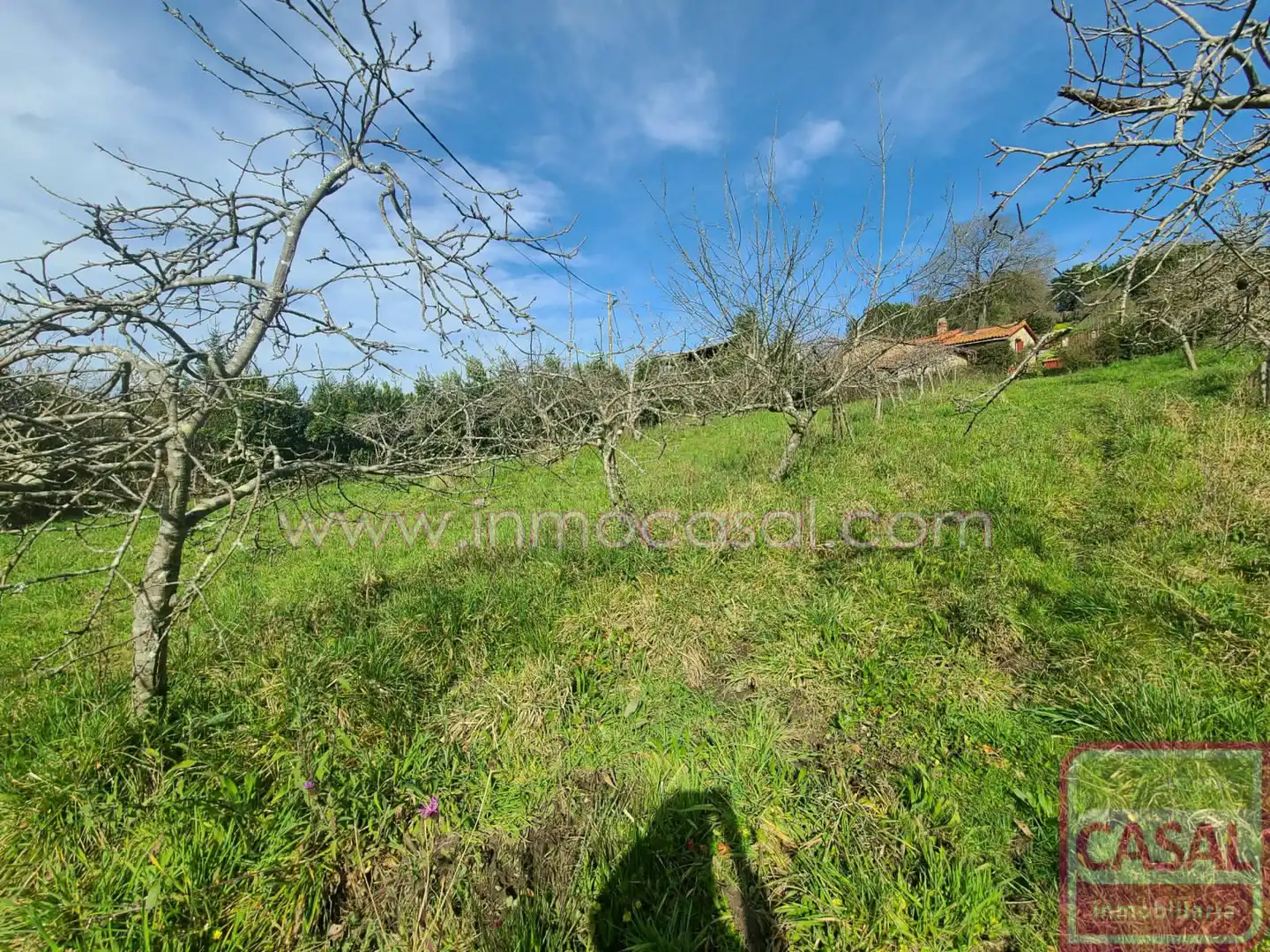 Grundstücke und Bauplätze zum Verkauf in POLIGONO 51 PARCELA 132, imagen 11