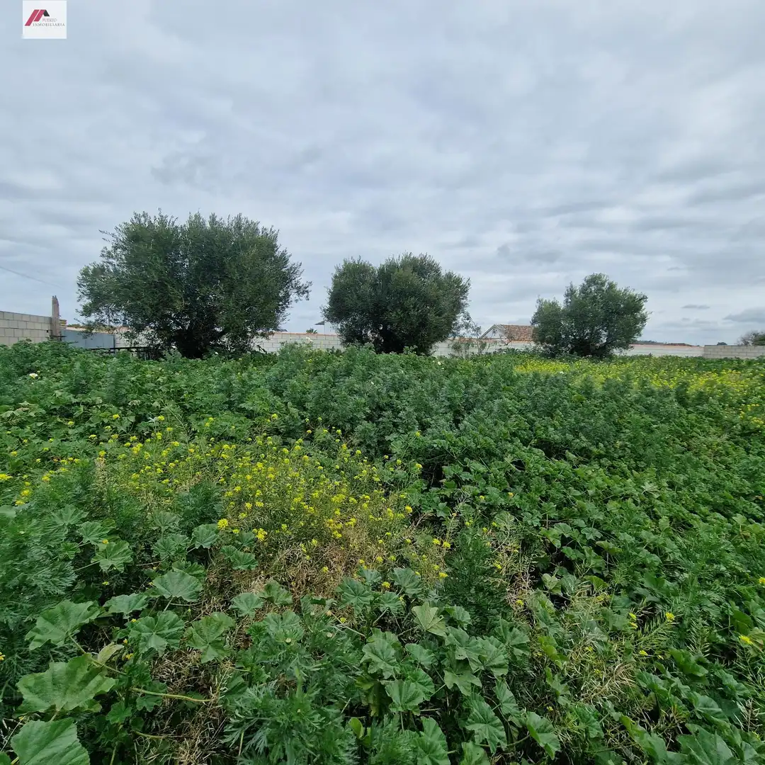 Rural land for sale in Ctra Sanlúcar - Cuatro Pinos, imagen 4