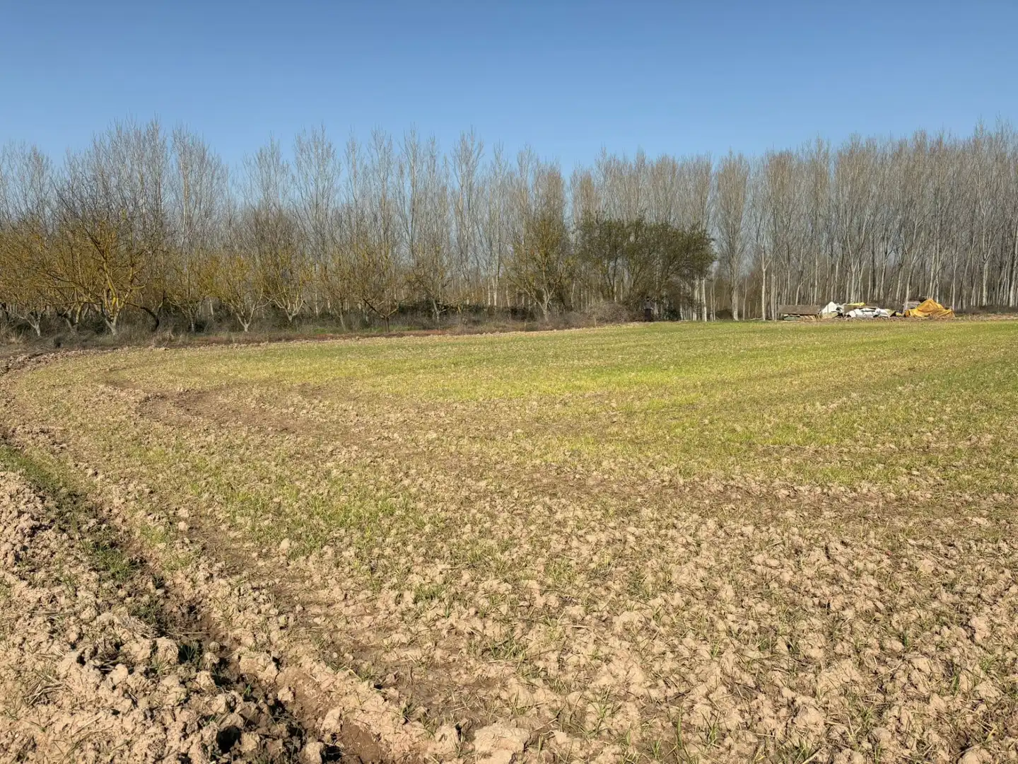 Rural land for sale in Agoncillo, imagen 3