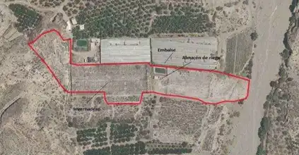 Lands and plots for sale in Alhabia, imagen 3